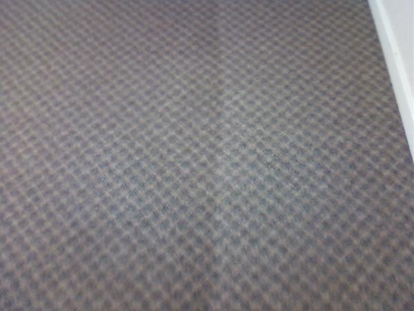 A Pro Carpet