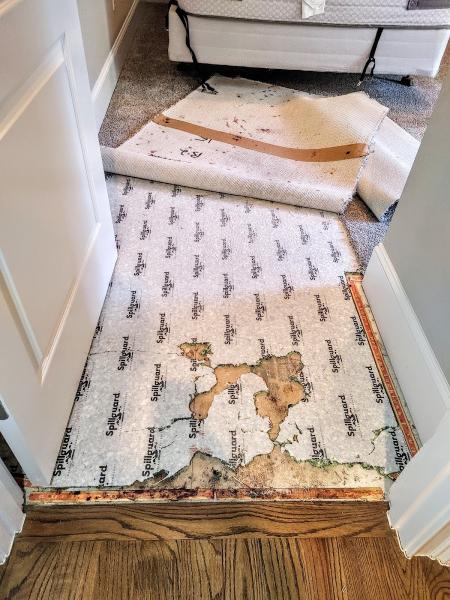 The Carpet Handyman