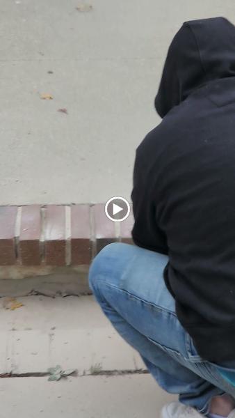 Krown Masonry Restoration & Repair