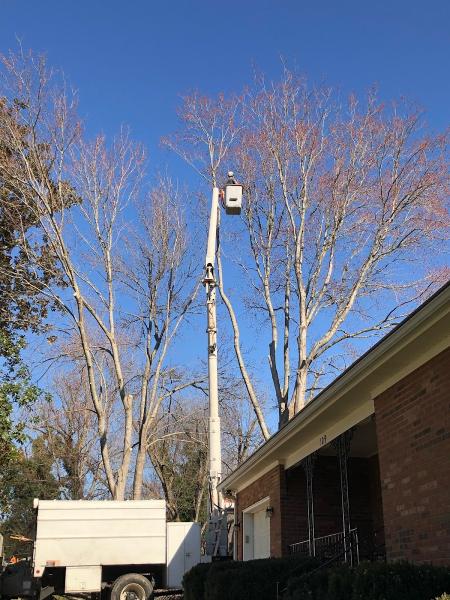 Owen's Tree Services