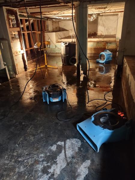 Rapid Dry LLC