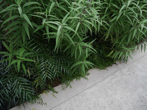 Outdoor Spatial Design
