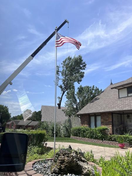 T & M Tree Service