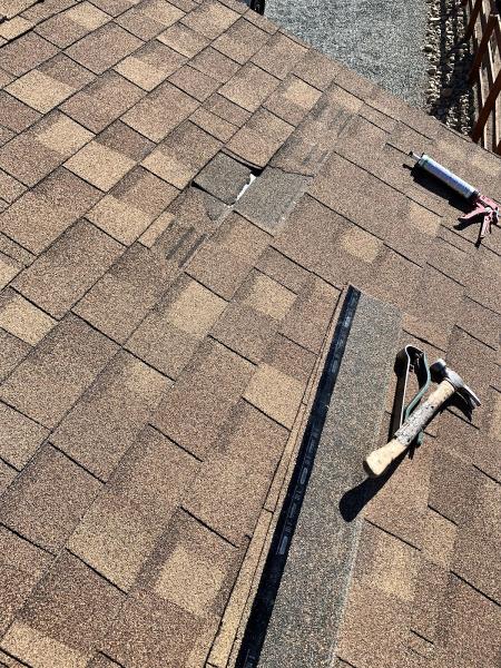 Specialty Roof Repairs