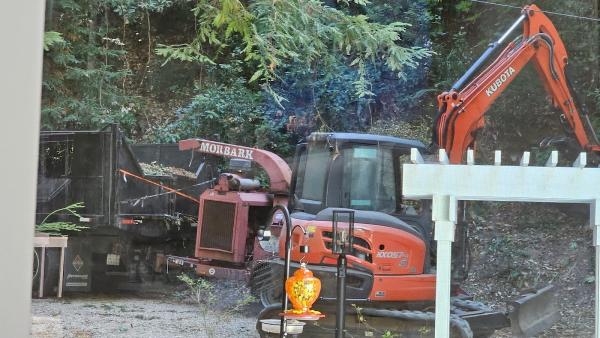Sunderland Tree Service Inc.