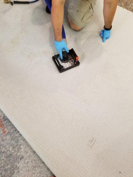 Champion's Carpet Cleaning
