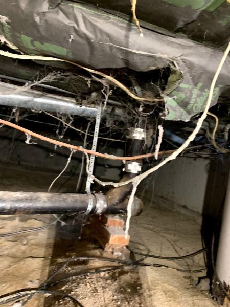 Homestead Property Inspections