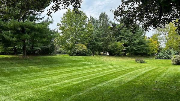 Cam's Services: Mowing・cleanups・snow