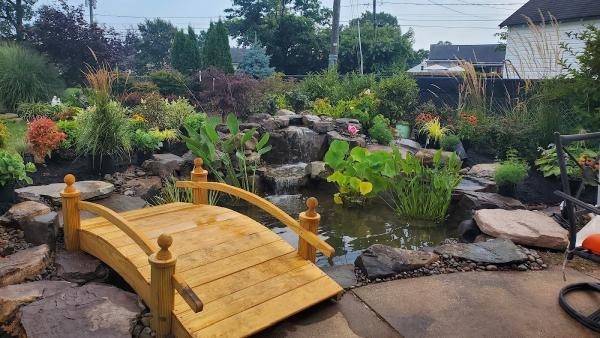 Premier Ponds