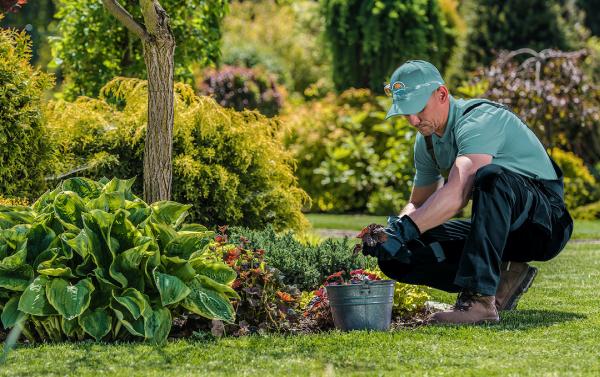 Ocean View Landscape Management