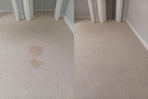 Alladin's Magic Carpet Cleaner