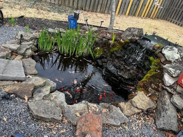 Midsouth Ponds