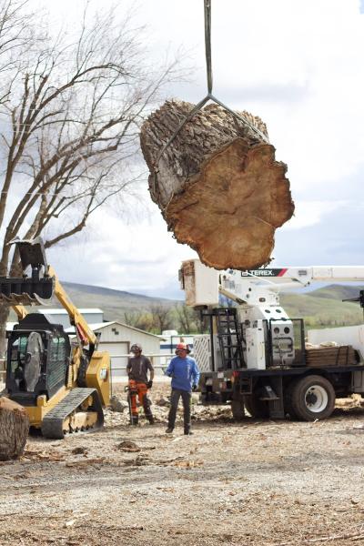 2 Rivers Tree Service & Hardscapes