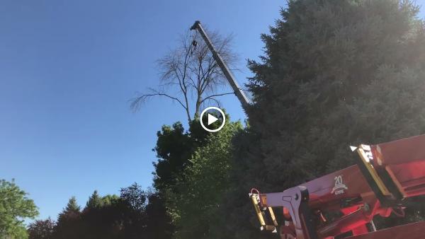 2 Rivers Tree Service & Hardscapes