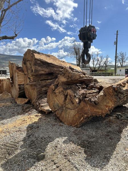 2 Rivers Tree Service & Hardscapes