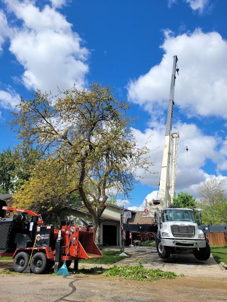 2 Rivers Tree Service & Hardscapes
