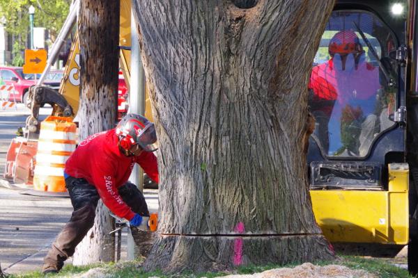 2 Rivers Tree Service & Hardscapes
