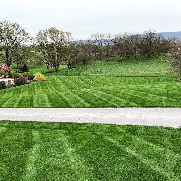 Lanco Turf Services Inc
