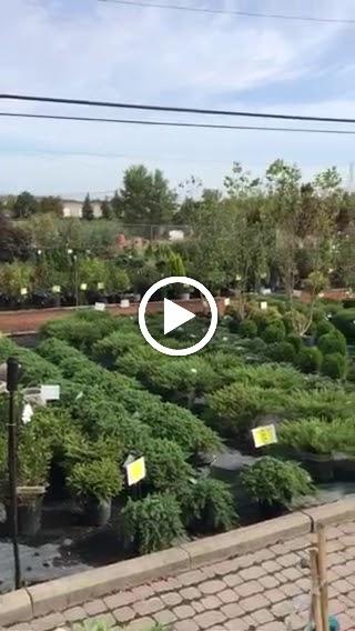 Carefree Lawn Center Landscape Supply