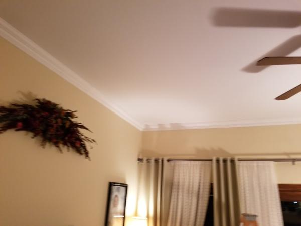 7 Strong Handyman Services
