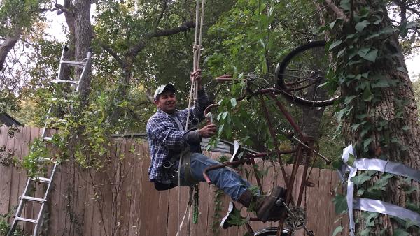 Carbajal Tree Service