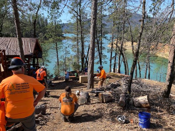 Easy Does It Tree Service