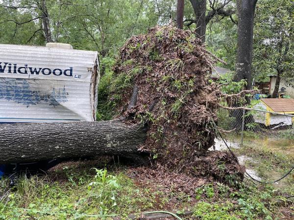 Broncos Tree Service