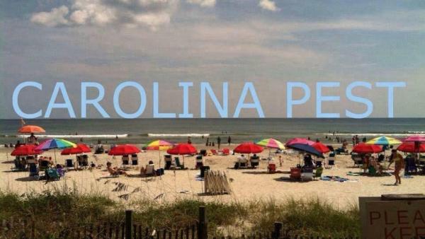 Carolina Pest Management