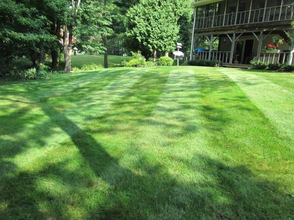 Bickford Landscaping