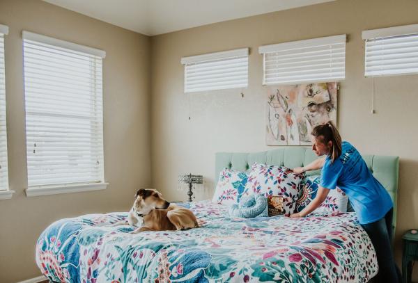 All Star Cleaning Services Fort Collins