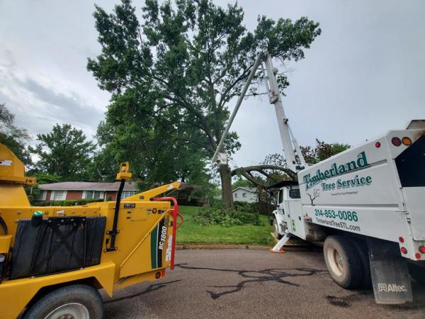 Timberland Tree Service