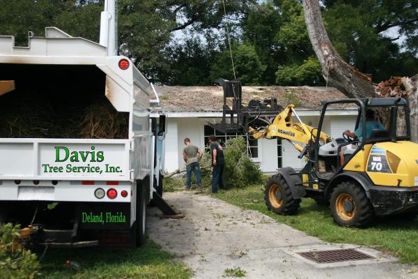 Davis Tree Service