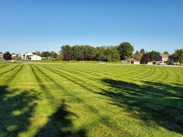 Hammond's Lawn and Landscape