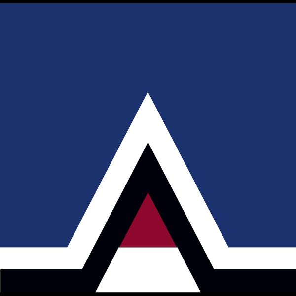 Agnew Associates Inc