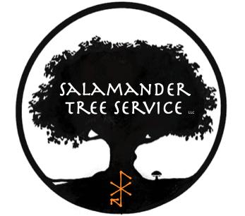 Salamander Tree Service