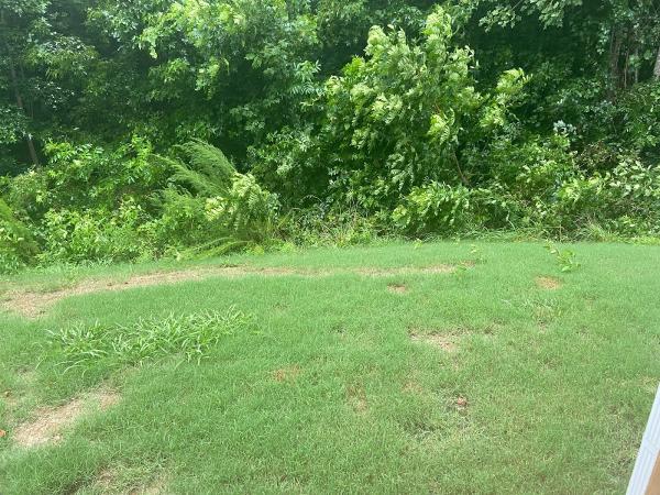 Triangle Lawn Care