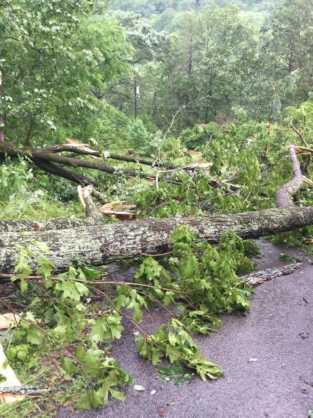 Roberts Tree Services
