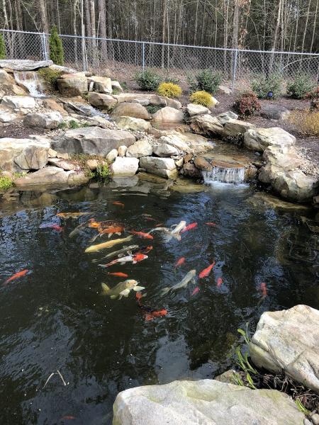 Aquatic Lifestyles LLC