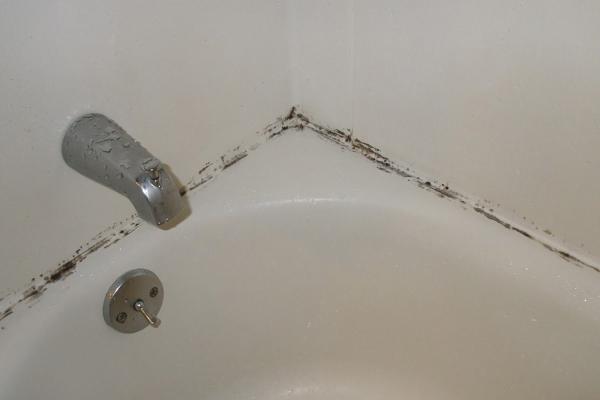 Osmolia Home Inspections