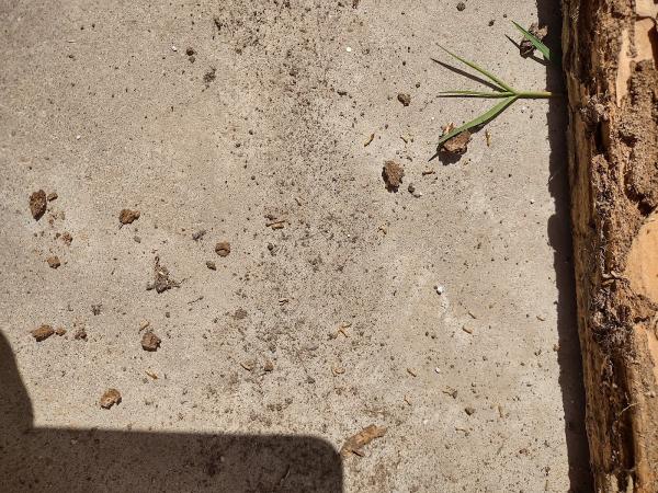 J&M Pest Control Co.