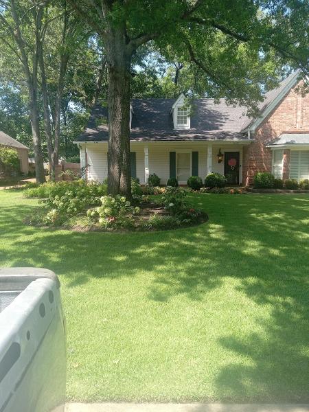 Radmer's Landscape Design co.