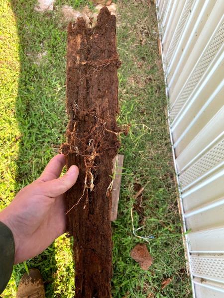 East Texas Termite & Pest Control