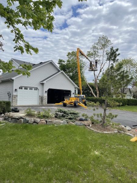 The Tree Guys Tree Care