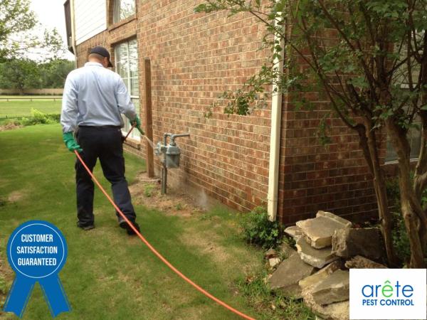 Arete Pest Control