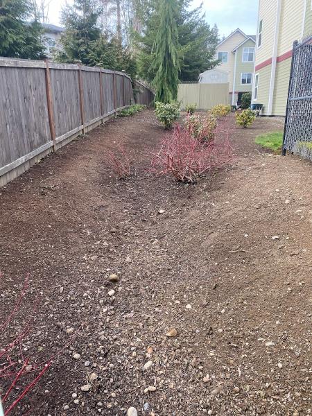 Magic Landscaping LLC
