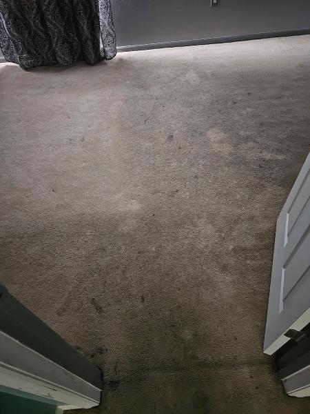 Citrusolution Carpet & Upholstery Cleaning