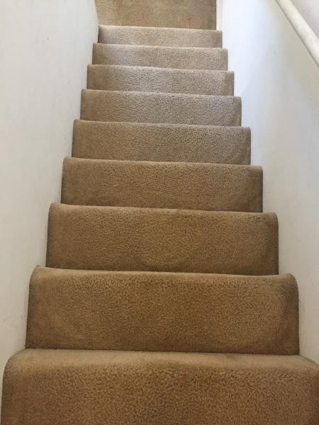 Citrusolution Carpet & Upholstery Cleaning