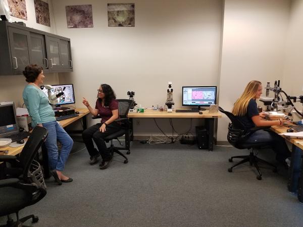 SGS TEC Services