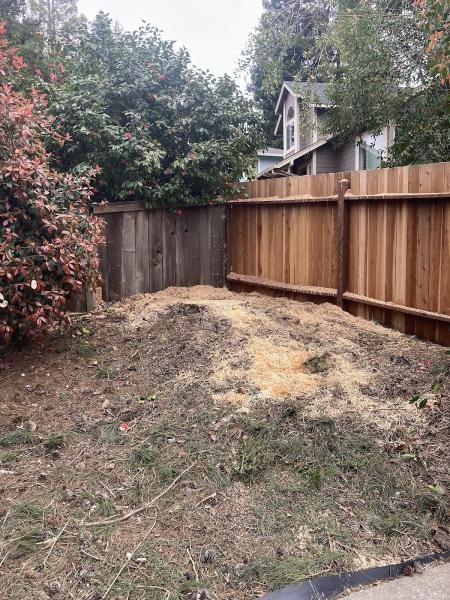 West Slope Tree Service