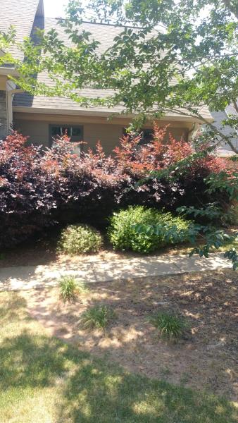 Drapers Lawns/Handyman Service